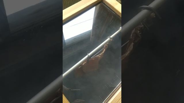 Такой аппарат должен быть в каждом доме!!! Лещ Х/К за 7 минут! Электростатика смотреть онлайн