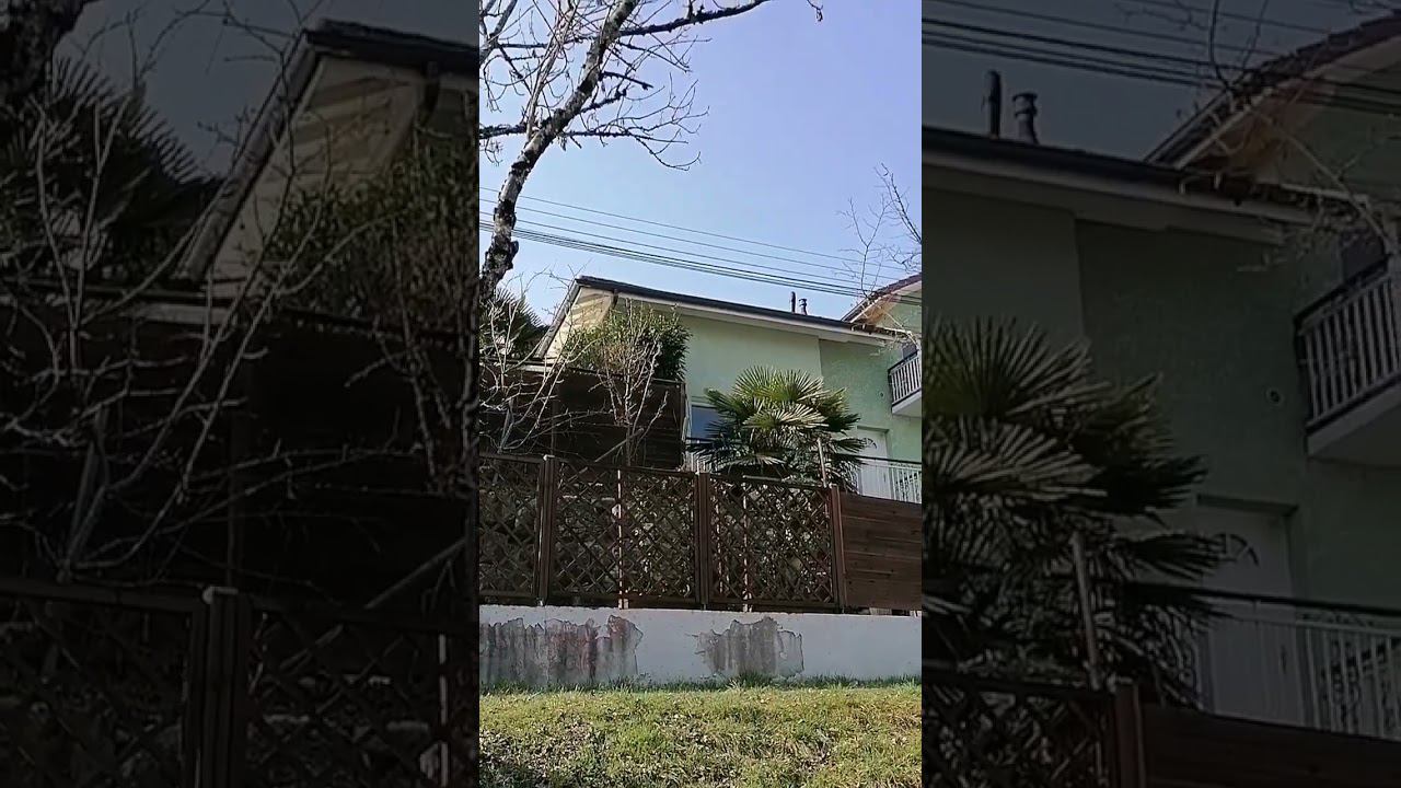 Альпы и пальмы. Совместимо? смотреть онлайн