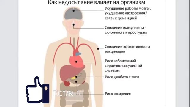 Гормоны сна | Мифы о сне | Часть 1 смотреть онлайн