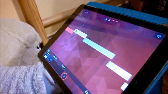 Открытия в науке