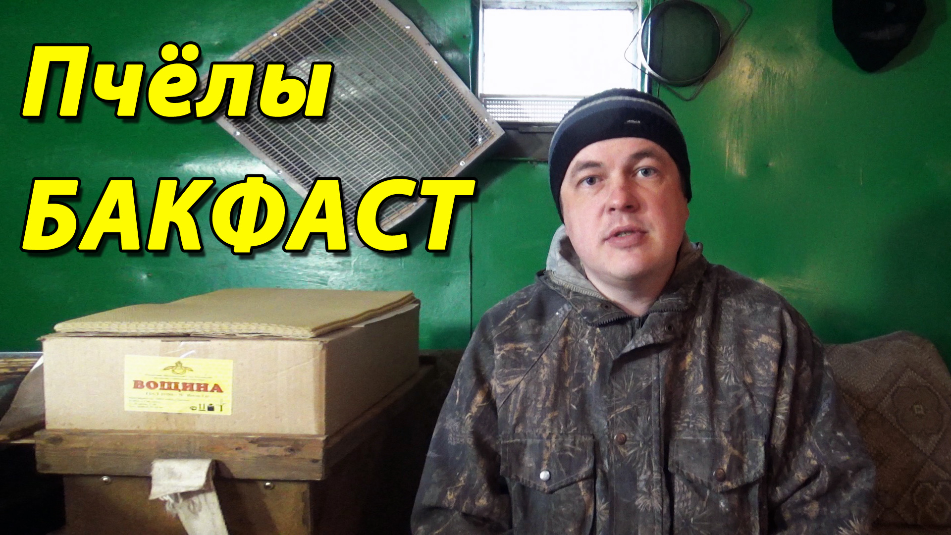 Стоит ли заводить пчёл БАКФАСТ на своей пасеке. Пчёлы Бакфаст. Мнение диванного аналитика смотреть онлайн