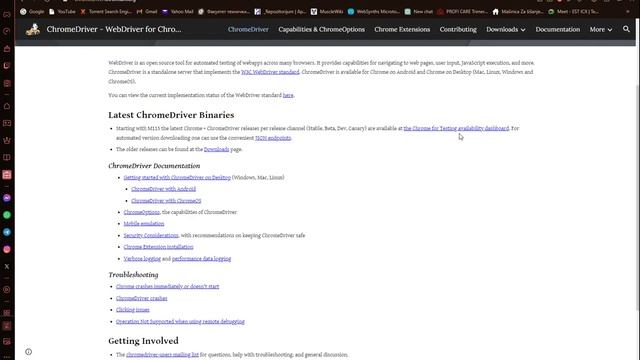 How To Extract Chromedriver Tutorial смотреть онлайн
