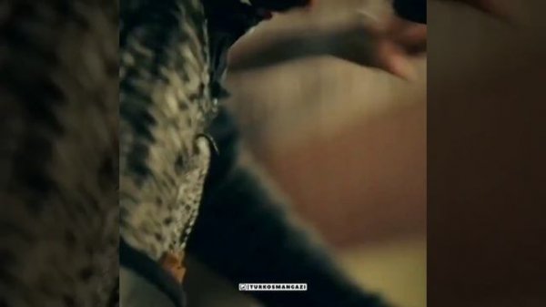 РАЗОЗЛИЛИ АК-ТЕМУРА