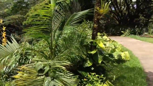 KAUAI'S HINDU MONASTERY AND TEMPLE - PART 1 (June 3, 2014) смотреть онлайн