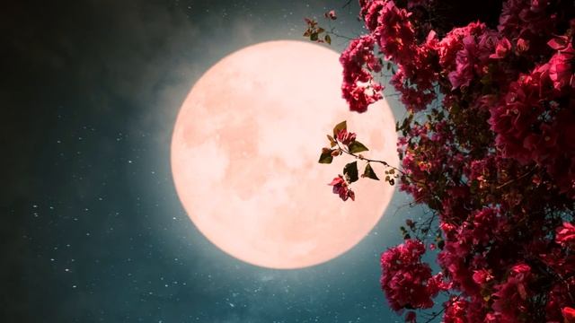 Merkaba Moon | Violin + Hang Drum 432 Hz | 8 Minutes | Music For Relaxation And Meditation