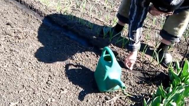 Ремонт на Дому