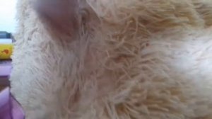 Как отмыть плед от лизуна или слайма