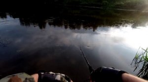 Рыбалка на р. Которосль