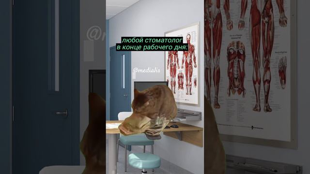 Стоматологи в конце рабочего дня: