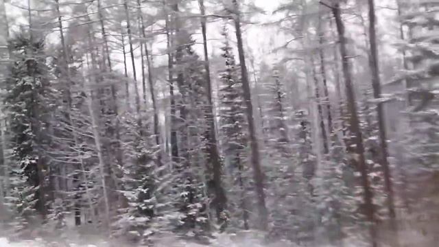 Красота Сибири смотреть онлайн