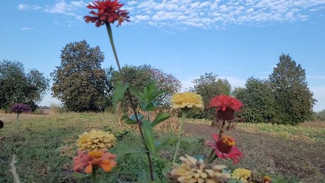 Нет в людских сердцах благоволенья! Отнял дьявол  радость и покой!