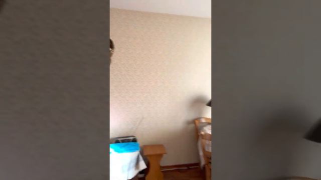 Достоевского 100 смотреть онлайн