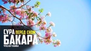 Сура аль Бакара - для защиты вашего дома от джинов и шайтана