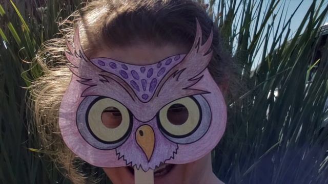 WHD 2020: SCVAS Owl Masks смотреть онлайн