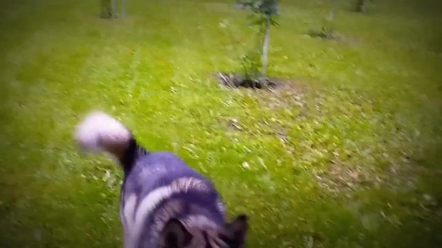 команда " спать " на улице - УСПЕХ =)) смотреть онлайн