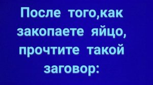 131.ЗАГОВОР ОТ ШУМНЫХ СОСЕДЕЙ