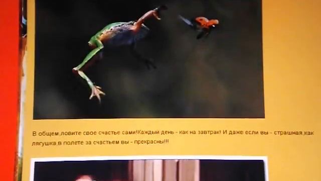 Счастье должно быть маленьким... Стих Сергей Воронин смотреть онлайн