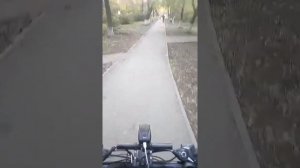 Электровелосипед 36 вольт 250 ватт.