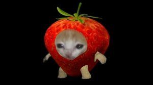 Шарлот- Мяу мяу мяу (speed up)