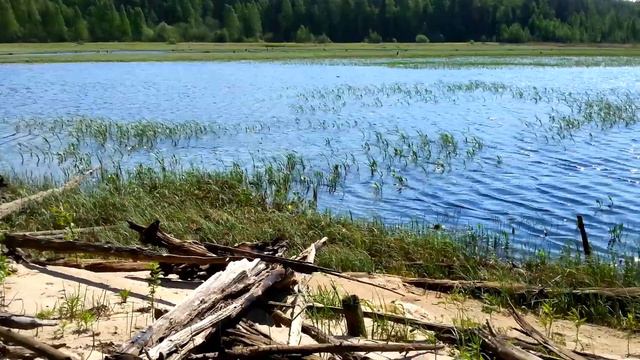 Остаток Волосницкого пруда в Тратауре смотреть онлайн