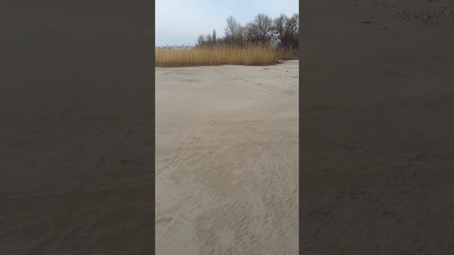 Где искать ЗОЛОТО на пляже??? смотреть онлайн