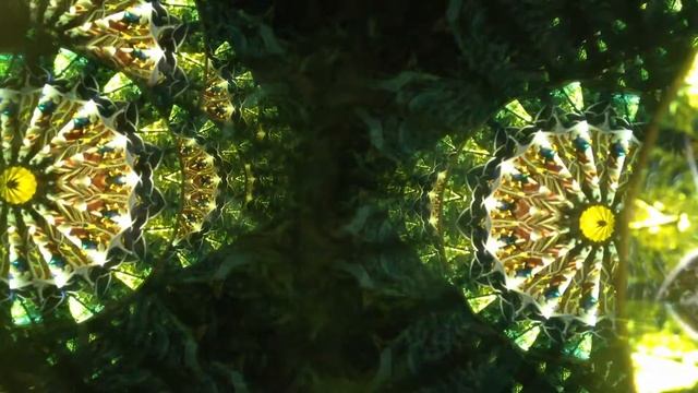 Steven Gray's "Reflections of a Parasol" kaleidoscope смотреть онлайн