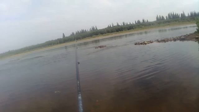 Рыбалка в жару.Щука словно ошалела смотреть онлайн