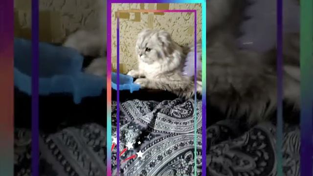 НАМ 11 месяцев стукнуло. смотреть онлайн