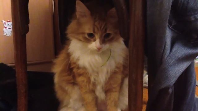 Мы его достали смотреть онлайн
