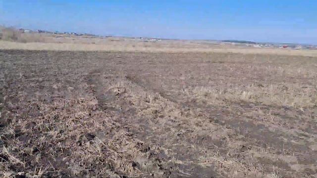 Поиск монет и мини обзор на мои настройки ТХ-850 смотреть онлайн