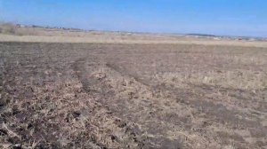 Поиск монет и мини обзор на мои настройки ТХ-850