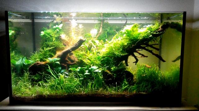 80 литров смотреть онлайн