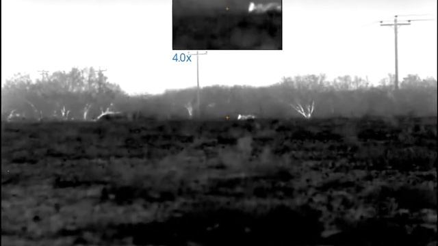 Thermal Hunt Pulsar XP50 & InfiRay Zoom смотреть онлайн