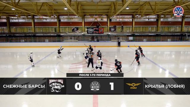 2009 | Снежные барсы - Крылья | 29.10.2023 смотреть онлайн