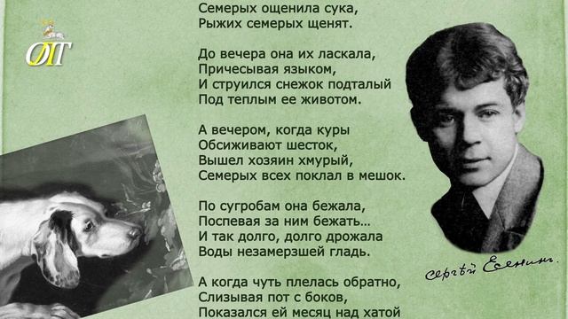 Сергей Есенин "Песнь о собаке". Читает Дарья Буймова смотреть онлайн