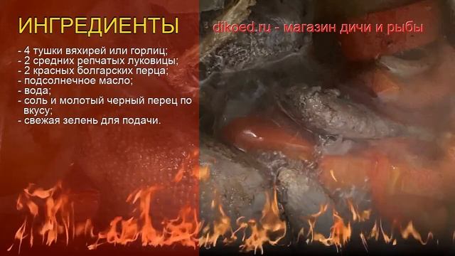 Зоопарк в Реальном Времени