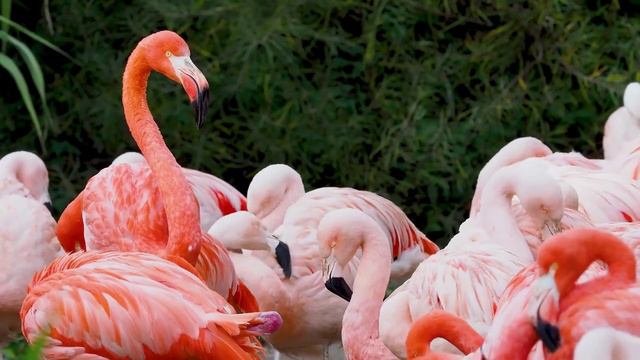 Доброе утро! смотреть онлайн