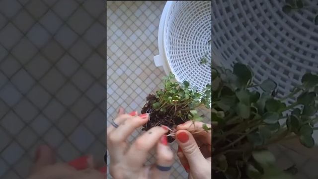 Секреты ухода за кожей осенью