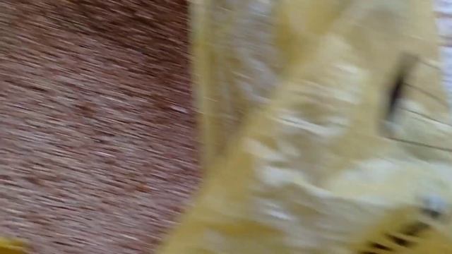 Обработка диатодимом или диатомитом от грибного комарика. смотреть онлайн