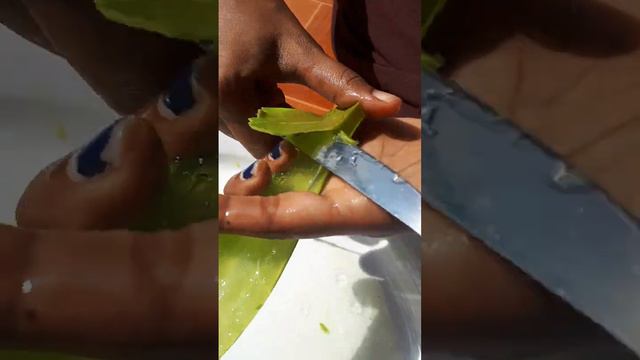 aloe// vera// shorts// 👌homemade fresh aloe vera hair mask💯 @AK_easytasty1324 смотреть онлайн