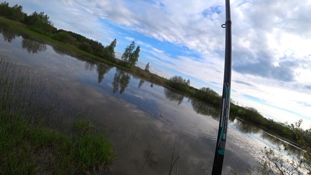 Ловля карася на поплавок! Рыбалка в Беларуси 2021! смотреть онлайн