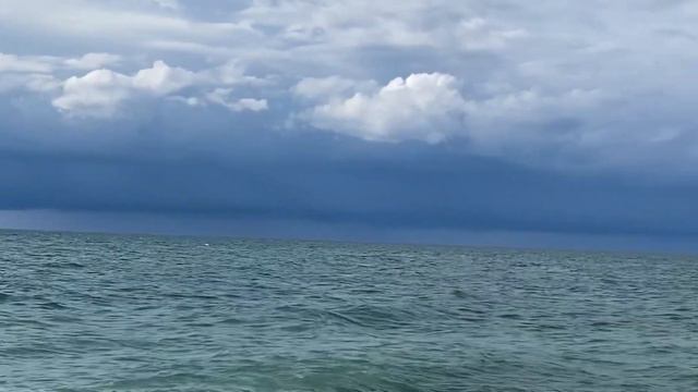 10.12.2023. Погода в Сочи в декабре. Смотри на Чёрное море каждый день. смотреть онлайн