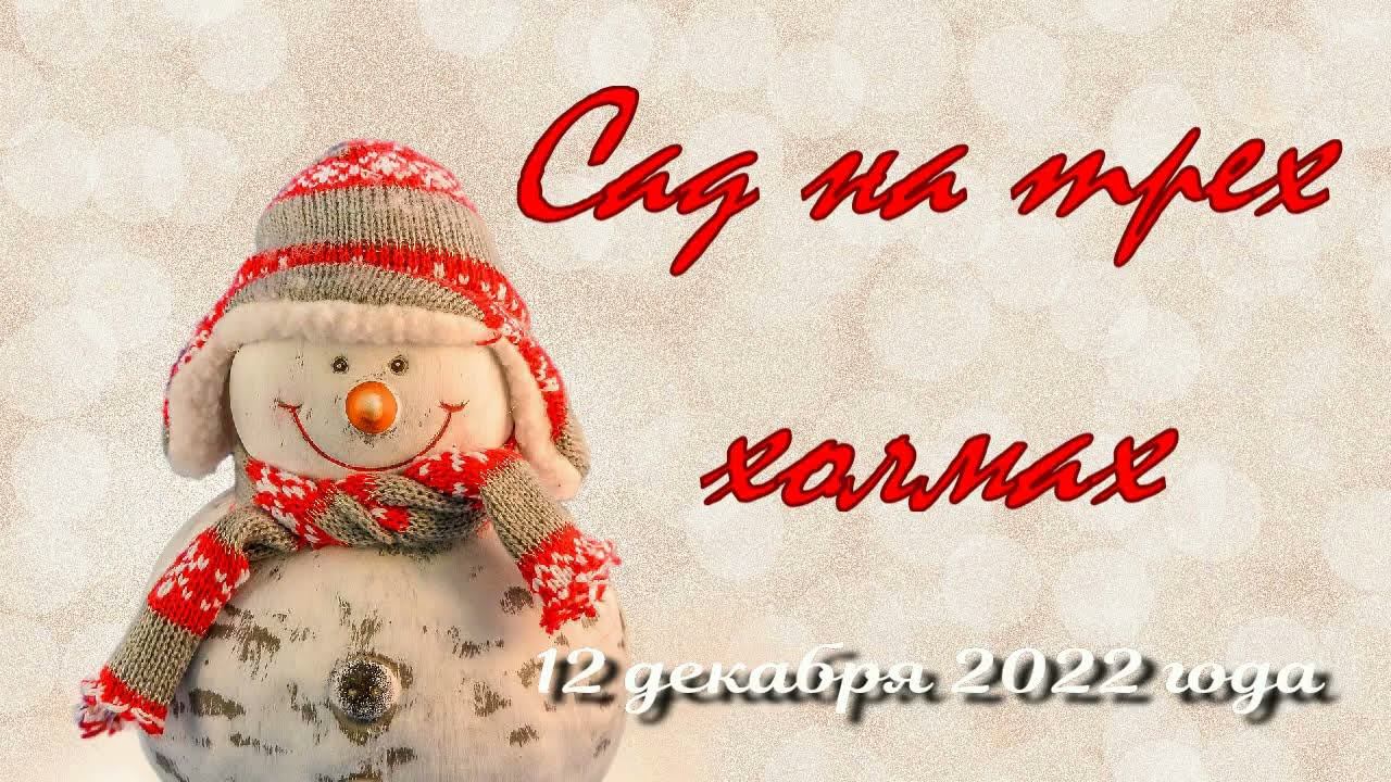 12 декабря 2022 г. Зима в Саду на трех холмах смотреть онлайн