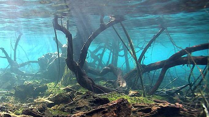 Подводная охота в новом сезоне. 2024 год. смотреть онлайн