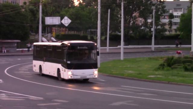 МАЗ 231 | MAZ 231