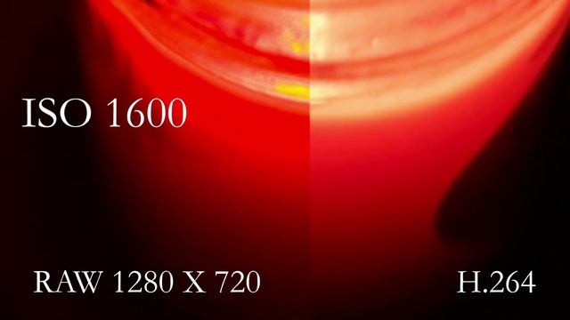 Canon 6D RAW Video Review