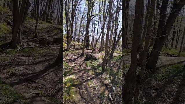 Чаша Желаний, Дольмены!