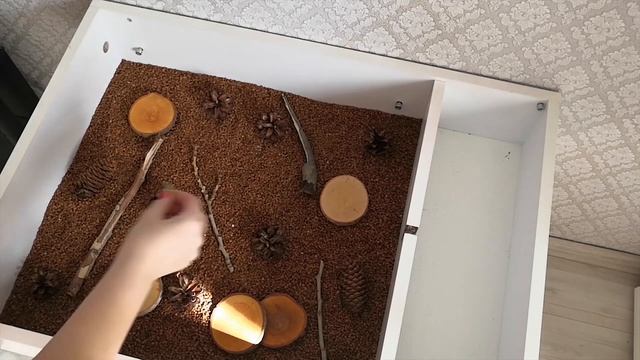 Сенсорная коробка "Лесные жители" смотреть онлайн