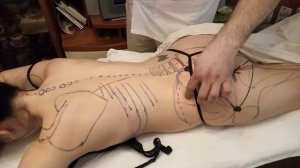 Анатомические ориентиры в работе массажиста. Часть -1