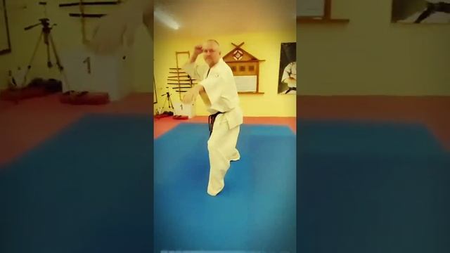 Каратэ для детей • Воронеж #karakchievsdojo #kadojo смотреть онлайн